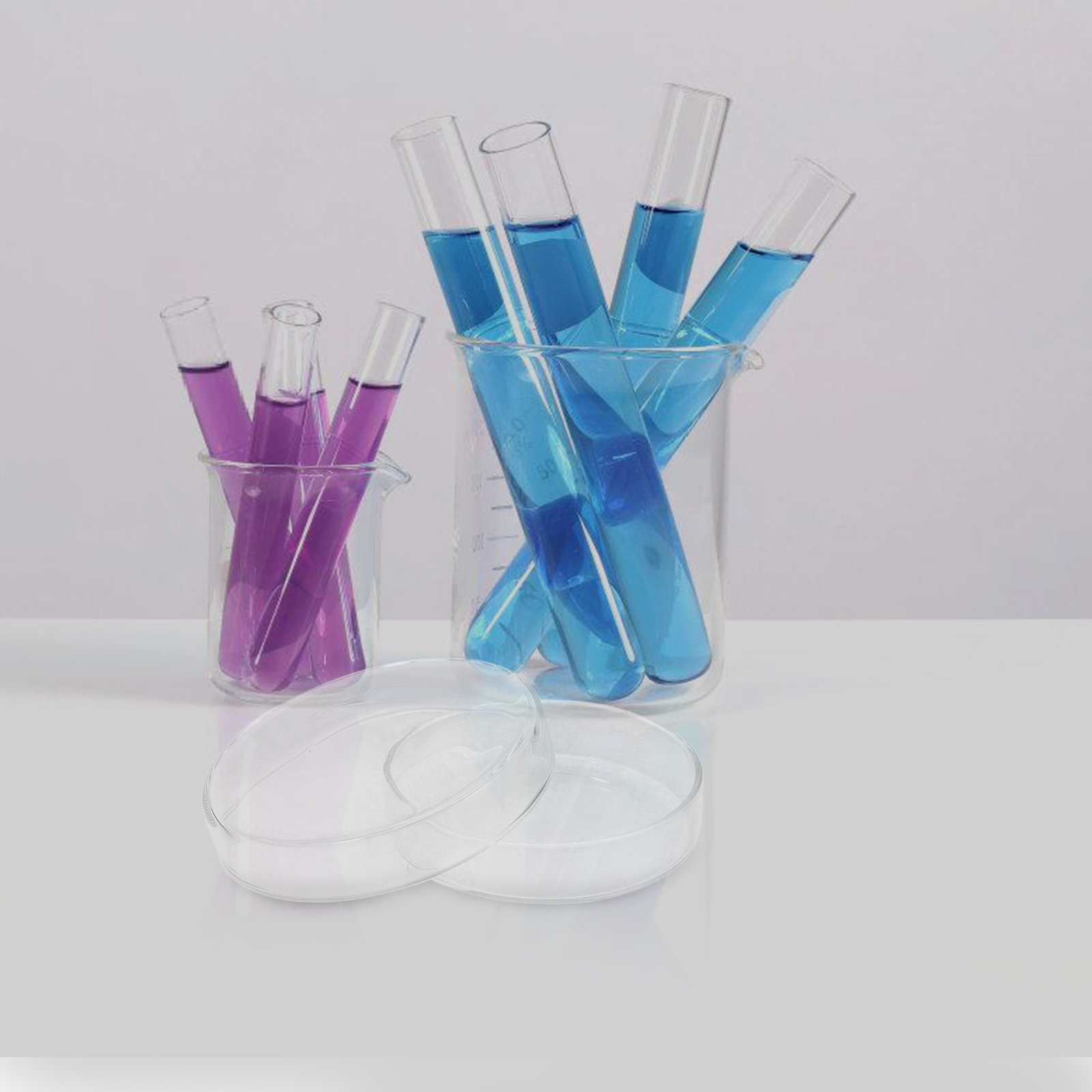 Agar Tissue Culture - Glass Petri Dish High Borosilicate Dish