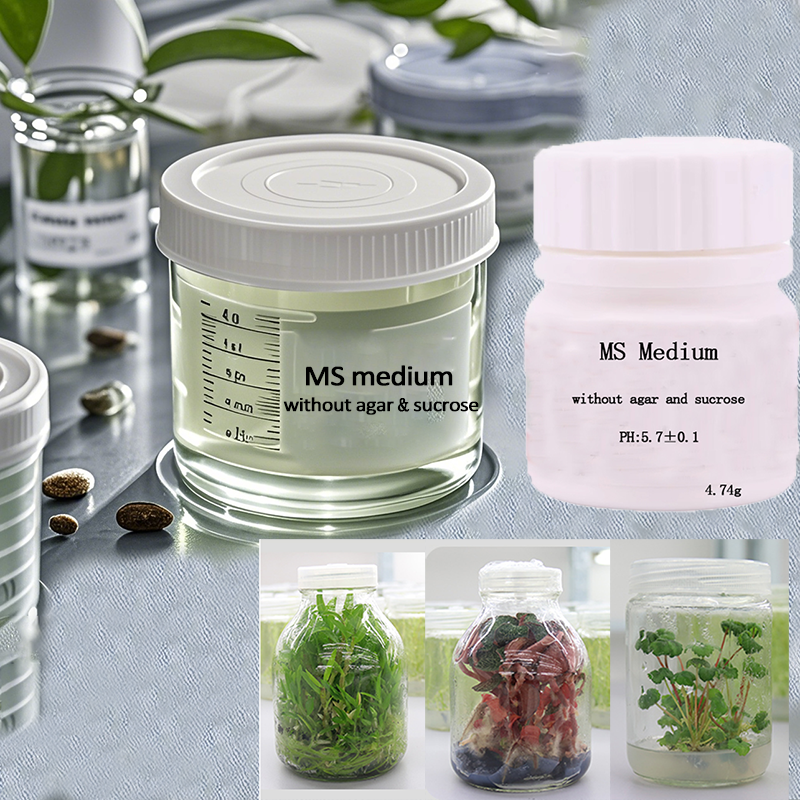 MS medium Without Agar Or Sucr - Agar Tissue Culture บทวิจารณ์และราคา