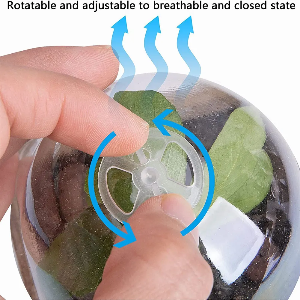 10pcs Garden Round Peat Pots P - Peat Pellet Tray บทวิจารณ์และราคา