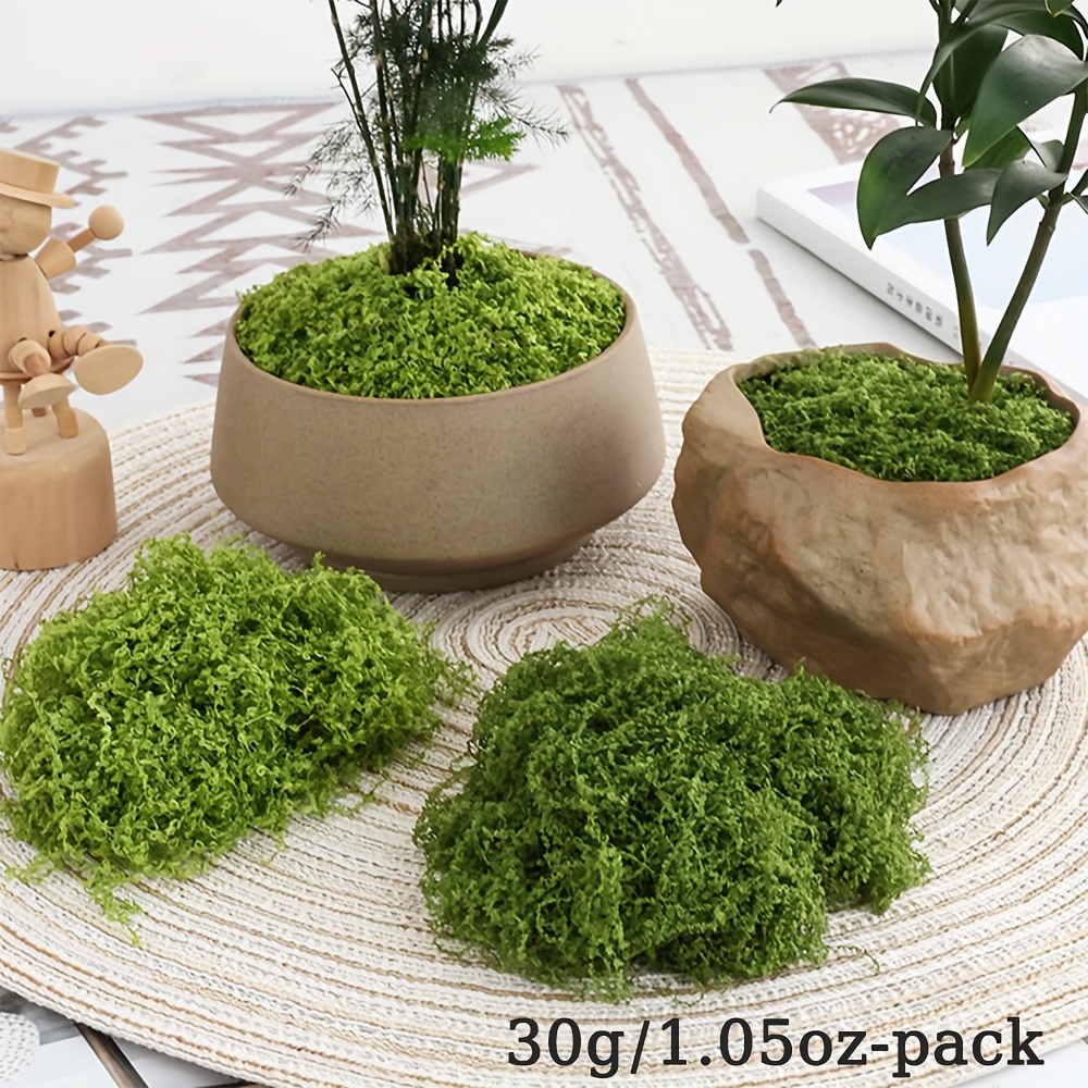 1pack Artificial Fake Moss, 1. - Sphagnum Moss Dry บทวิจารณ์และราคา