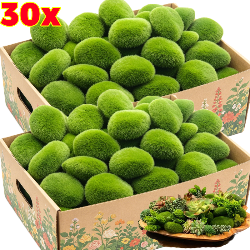 5/30pcs Simulation Moss Stone  - Sphagnum Moss Dry บทวิจารณ์และราคา