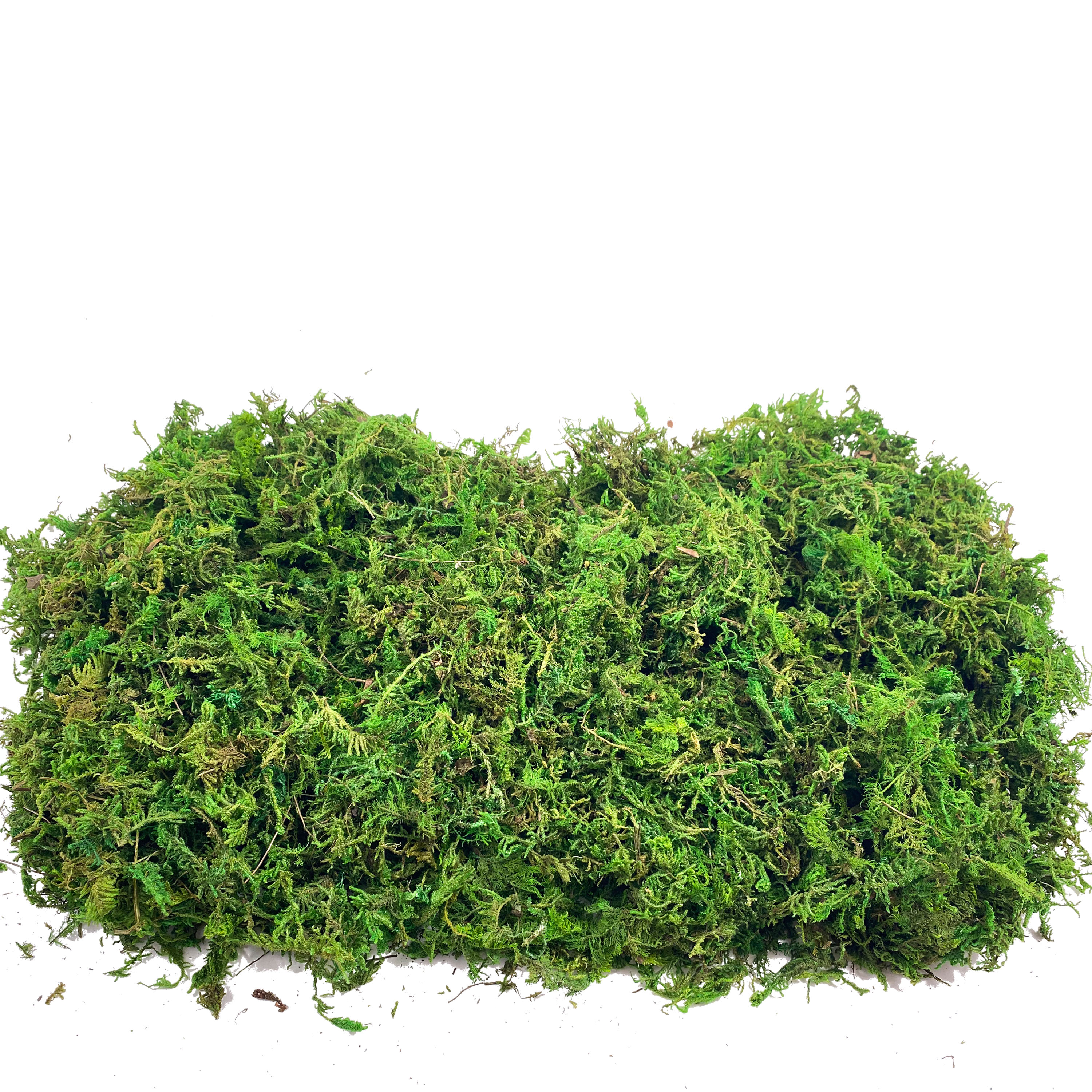 Artificial Fake Moss, Craft Mo - Sphagnum Moss Dry บทวิจารณ์และราคา