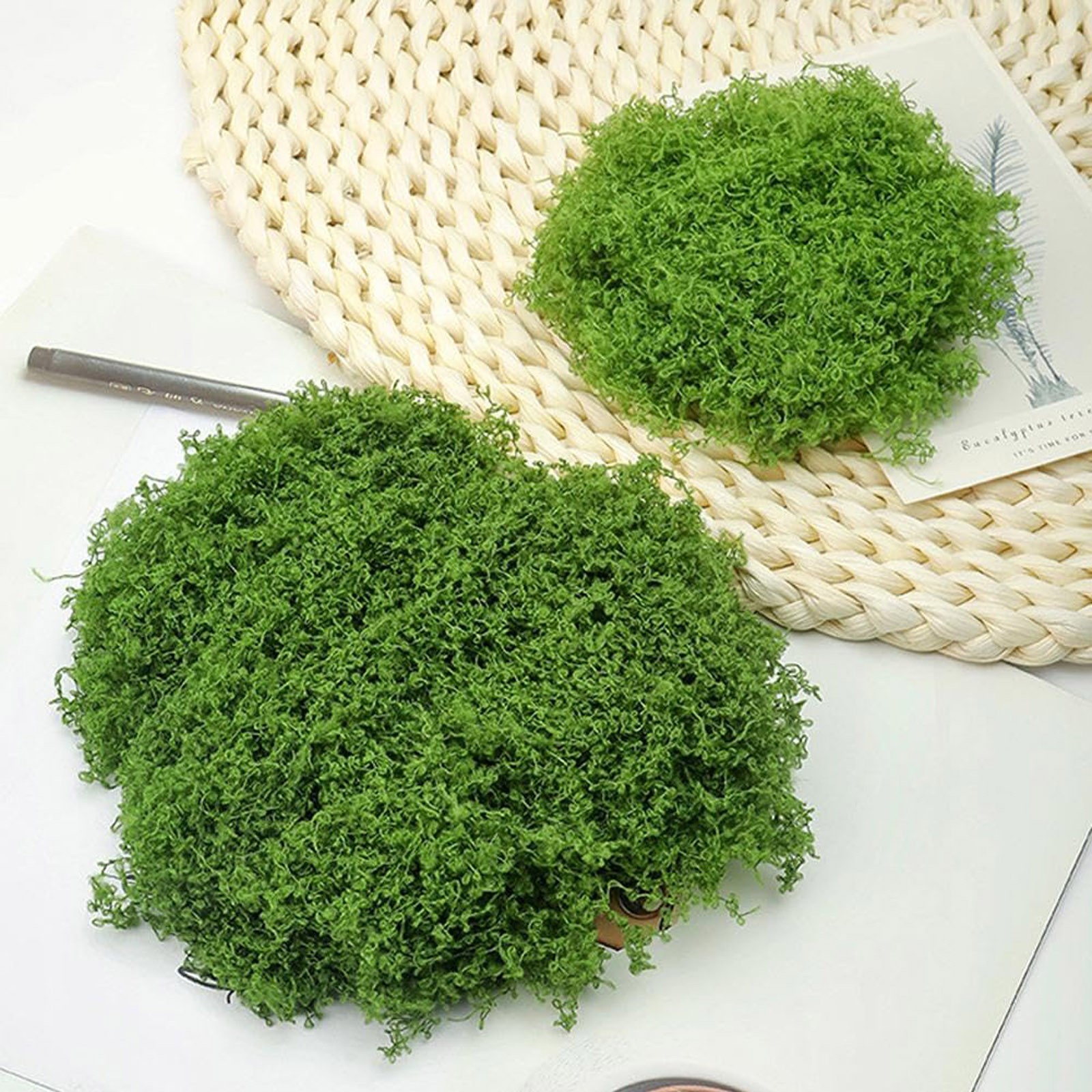 50/200g Artificial Moss For De - Sphagnum Moss Dry บทวิจารณ์และราคา