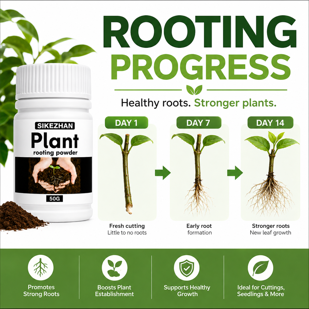 50g Rapid Rooting Powder Plant - Rooting Hormone Powder บทวิจารณ์และราคา
