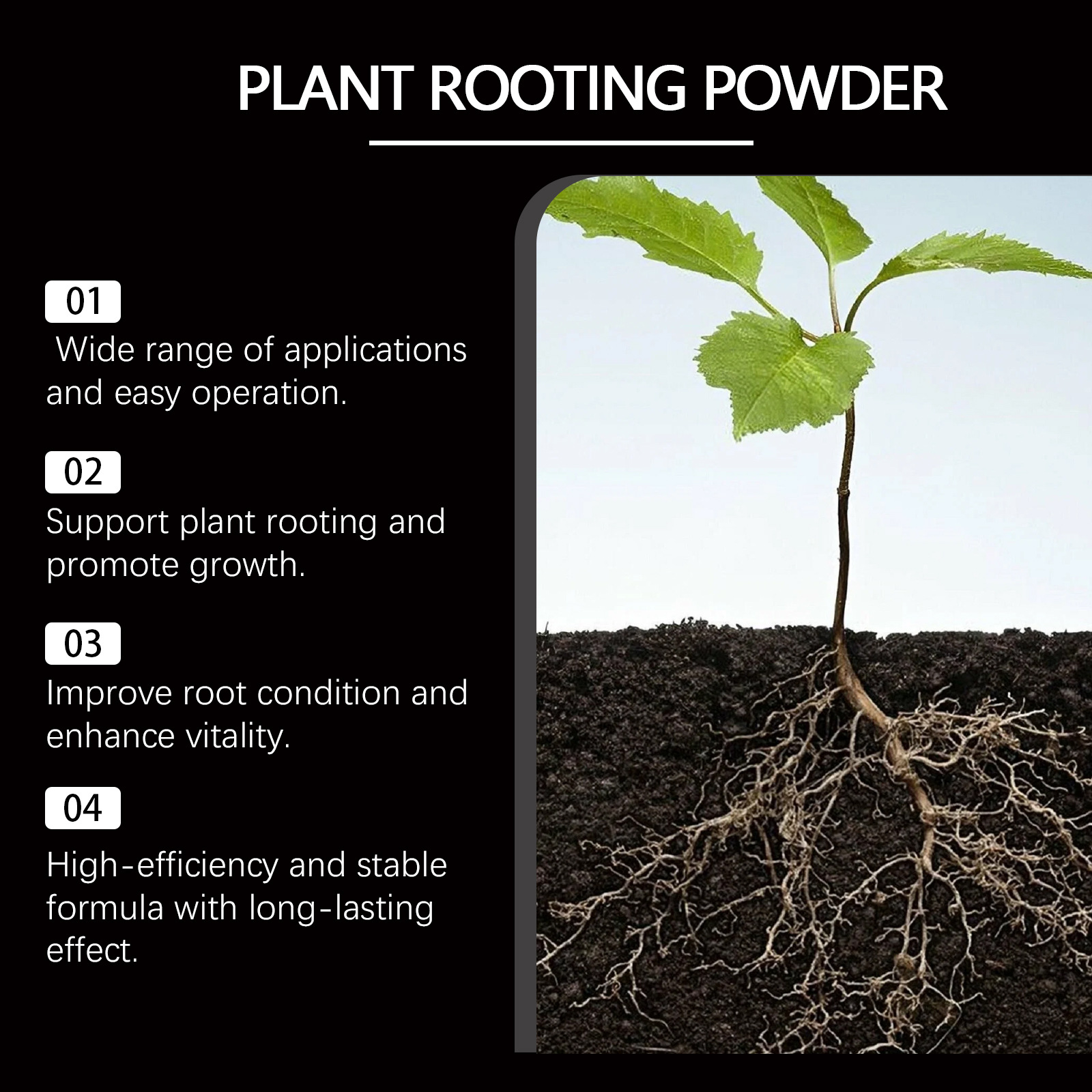 50g Rapid Rooting Powder Plant - Rooting Hormone Powder บทวิจารณ์และราคา