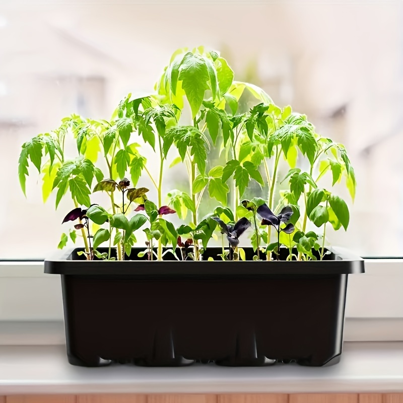 Seedling Starter Kit 1/2/3 Set - Humidity Dome Kit บทวิจารณ์และราคา
