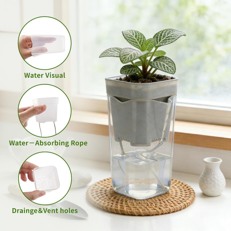 Transparent Flower Plant Pot S - Self Watering Insert บทวิจารณ์และราคา
