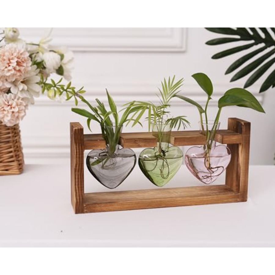 3-Heart Plant Terrarium Kit -  - Propagation Station Vase บทวิจารณ์และราคา