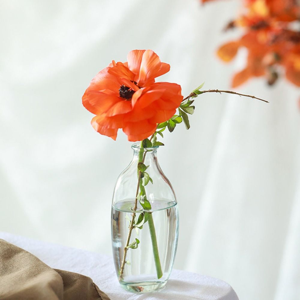 Fashion Retro Flower Vase Glas - Propagation Station Vase บทวิจารณ์และราคา