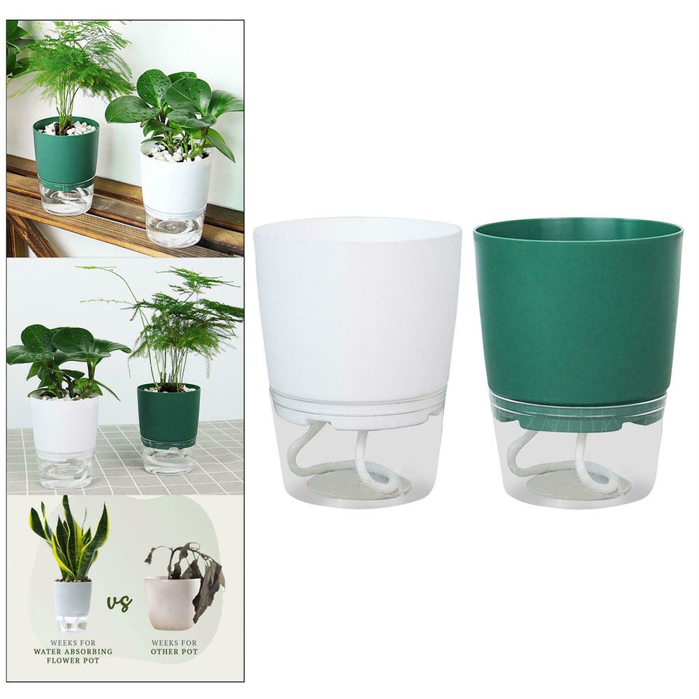Lazy Hydroponic Flower Pot Aut - Self Watering Insert บทวิจารณ์และราคา