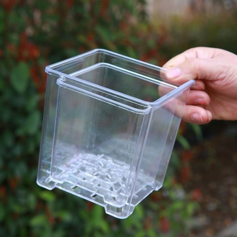 Transparent Material Acrylic P - Self Watering Insert บทวิจารณ์และราคา
