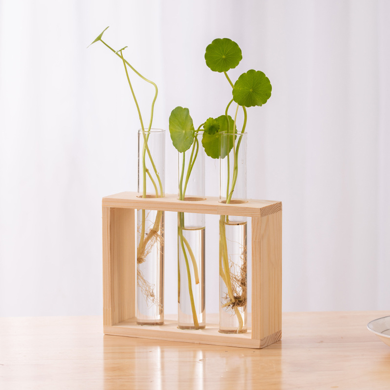 Hydroponic Plants Container wi - Propagation Station Vase บทวิจารณ์และราคา