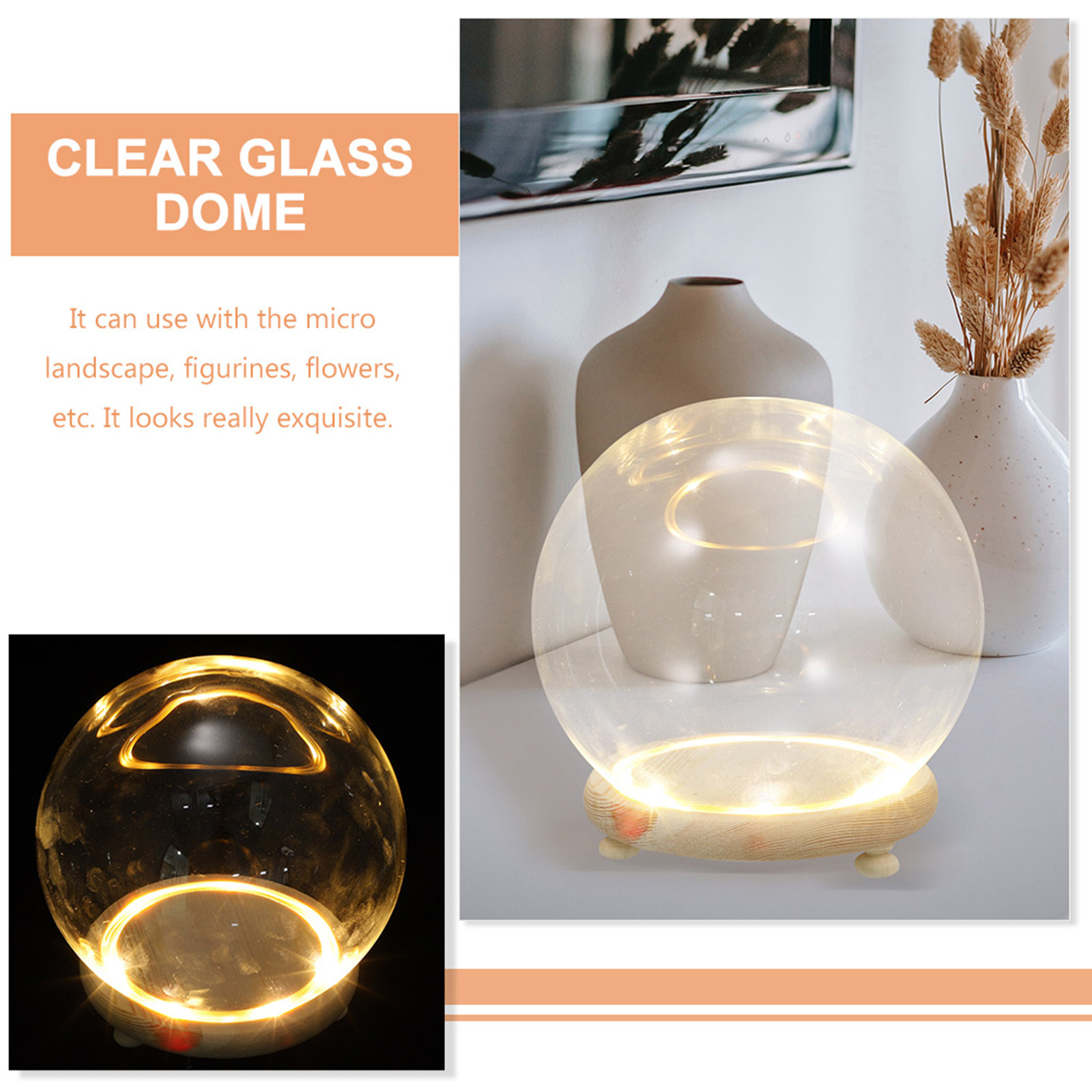 Clear Glass Dome Preserved Flo - Plastic Dome Clear บทวิจารณ์และราคา